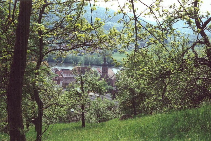 Langenprozelten im Fruehjahr 2000