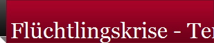 Flchtlingskrise - Terrorismus