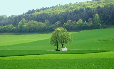 lauschiger rastplatz 2